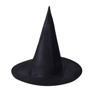 Chapeau de Sorcier Harry Potter Simple